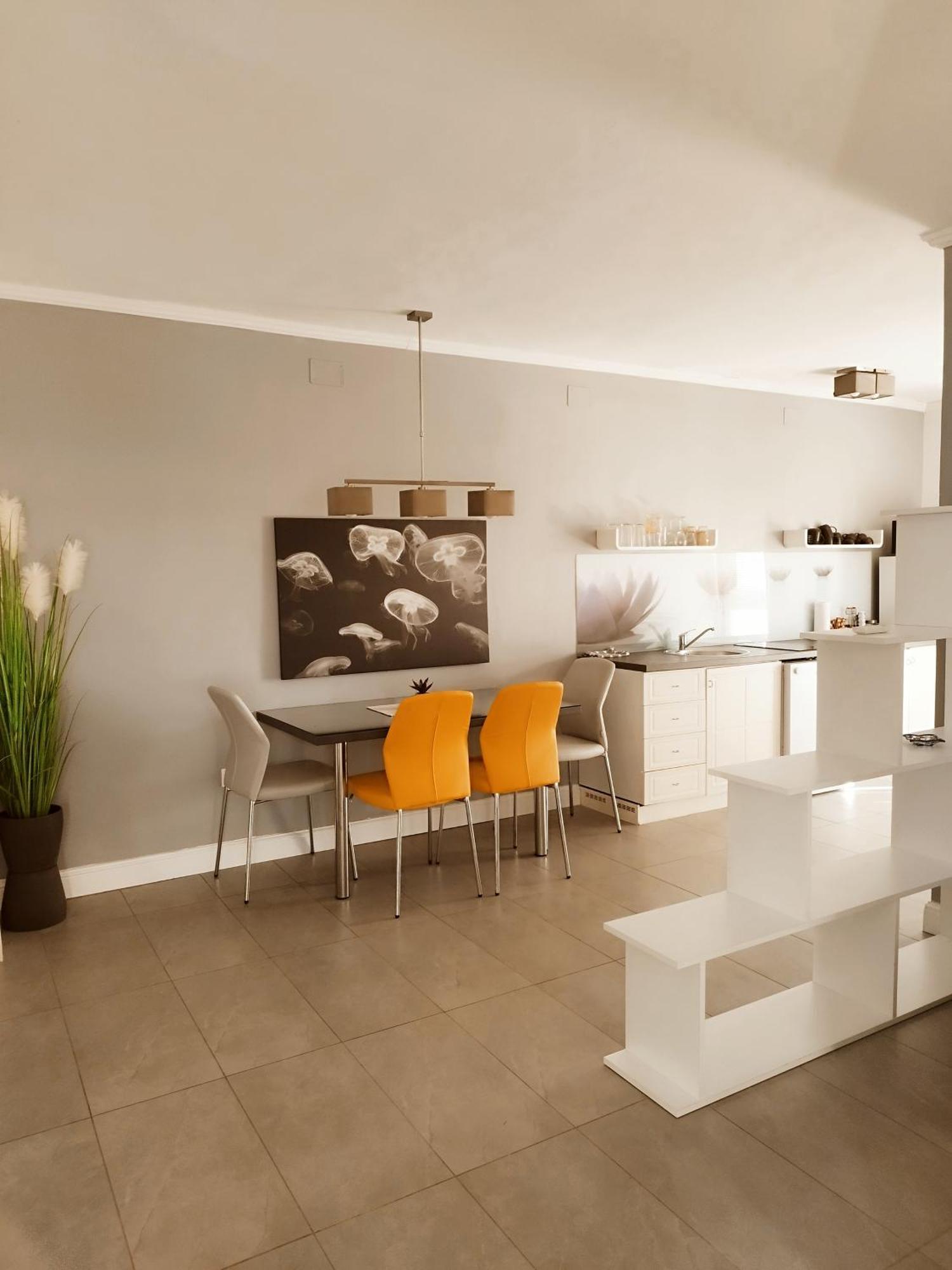 Apartments Merlin Novigrad Istria Cameră foto